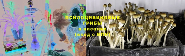 герыч Аркадак