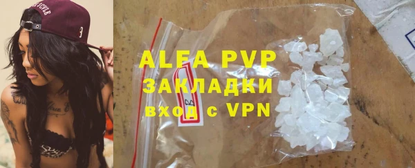 PSILOCYBIN Покачи