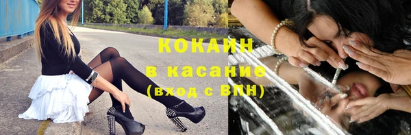 дмт Арсеньев