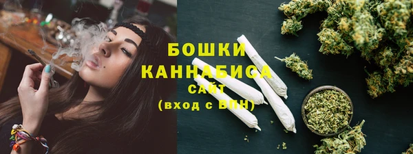 PSILOCYBIN Покачи